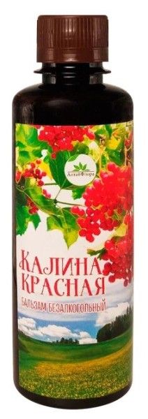 Изображение товара Бальзам Калина красная Алтайфлора 200мл Бальзам Калина красная Алтайфлора 200мл фотография